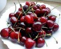 Вишня "Жуковская"