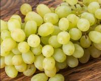 Виноград "КишМиш Мираж" (Русбол)