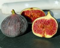 Инжир "Сабруция"