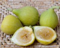 Инжир "Кадота"