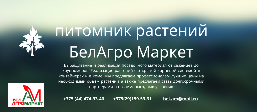 Высокое качество