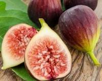 Инжир "Браун Турция"