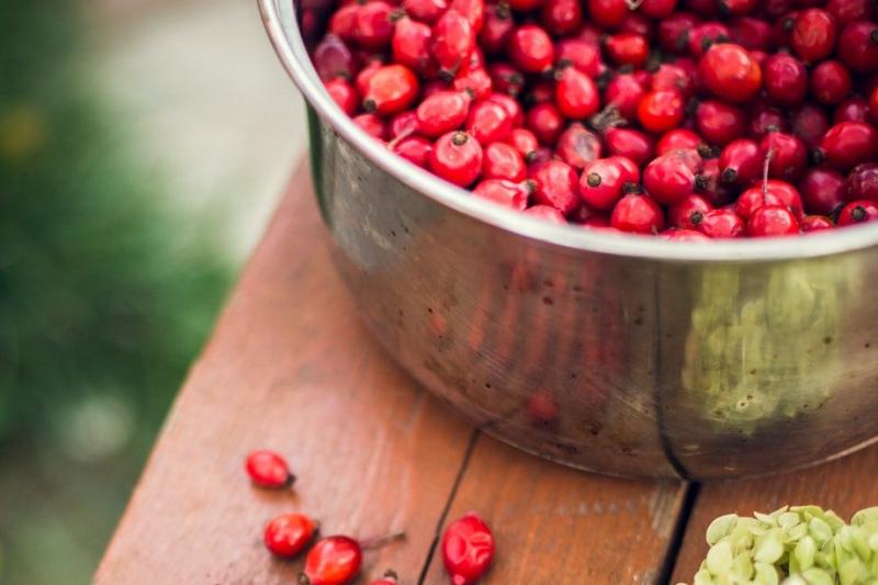 Что такое ягода годжи? И чем она полезна  