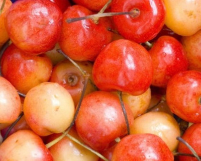 Черешня "Розовый жемчуг"