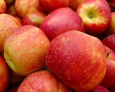 Яблоня "Джонаголд"