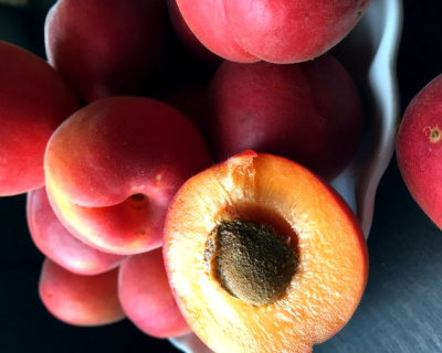 Абрикос красный "Биг Ред"