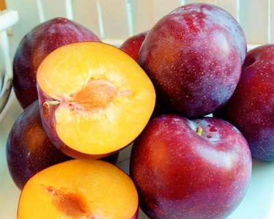 Слива "Деликатесная"