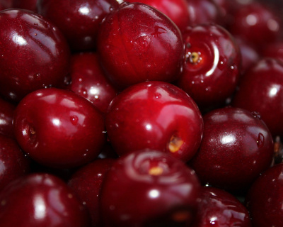 Вишня "Морозовка"