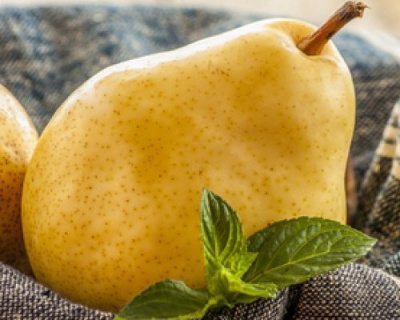 Груша "Янтарная"