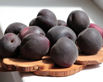 Абрикос "Черный бархат"