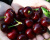 Черешня "Валерий Чкалов"