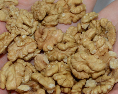 Грецкий орех "Память Минова"