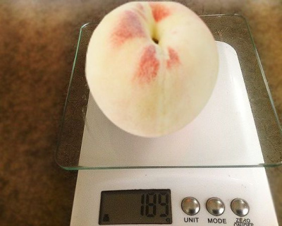 персик "Белый лебедь"