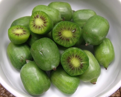 Актинидия Аргута "Джамбо" (женская)