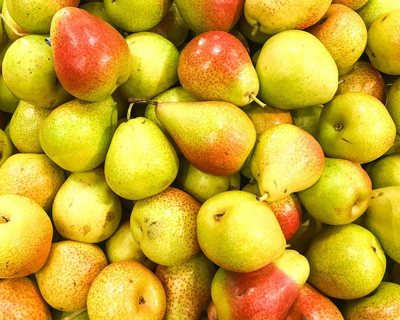 Груша "Дюшес (Вильямс летний)"