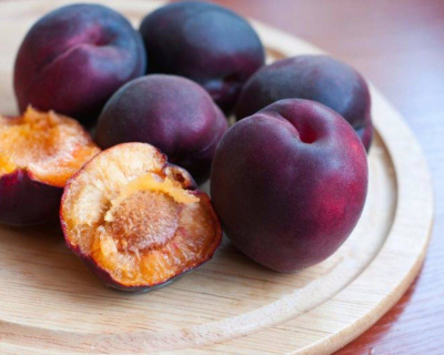 Абрикос "Черный бархат"